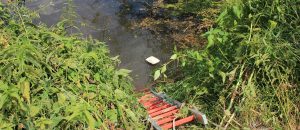 wasserrettung_5_050715_1200