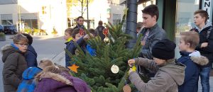 weihnachtsbaum_aktion_2_031215_1200